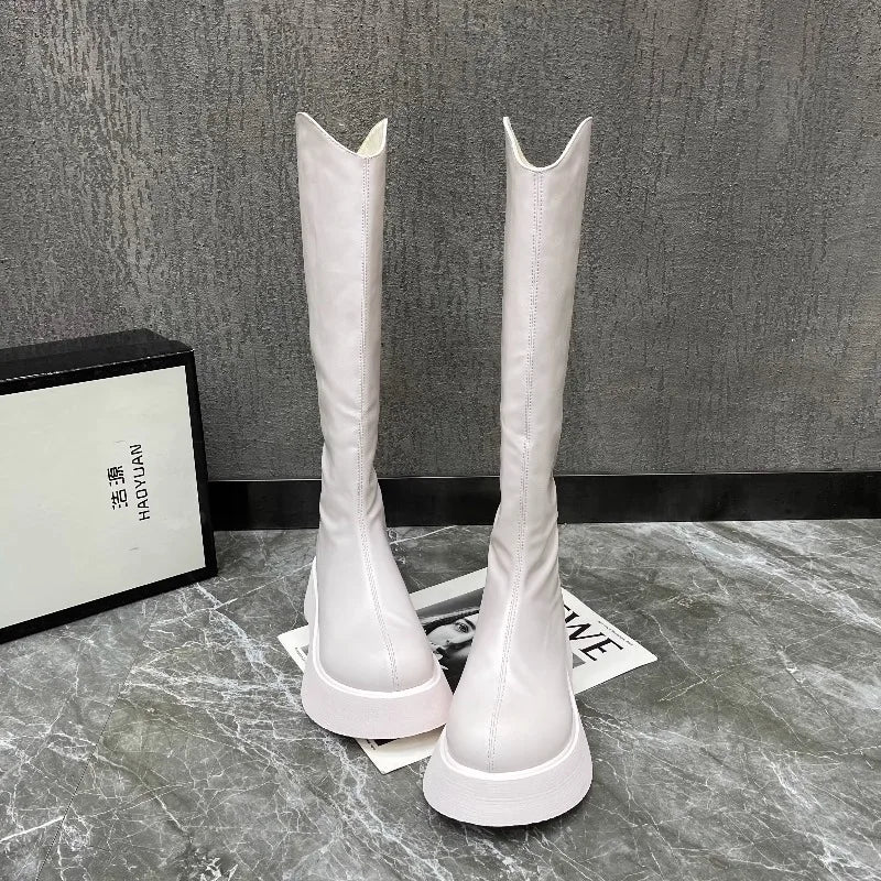 Botas Altas Femininas com Plataforma e Fecho Zip — Estilo Coreano Inverno