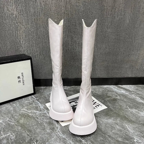 Botas Altas Femininas com Plataforma e Fecho Zip — Estilo Coreano Inverno